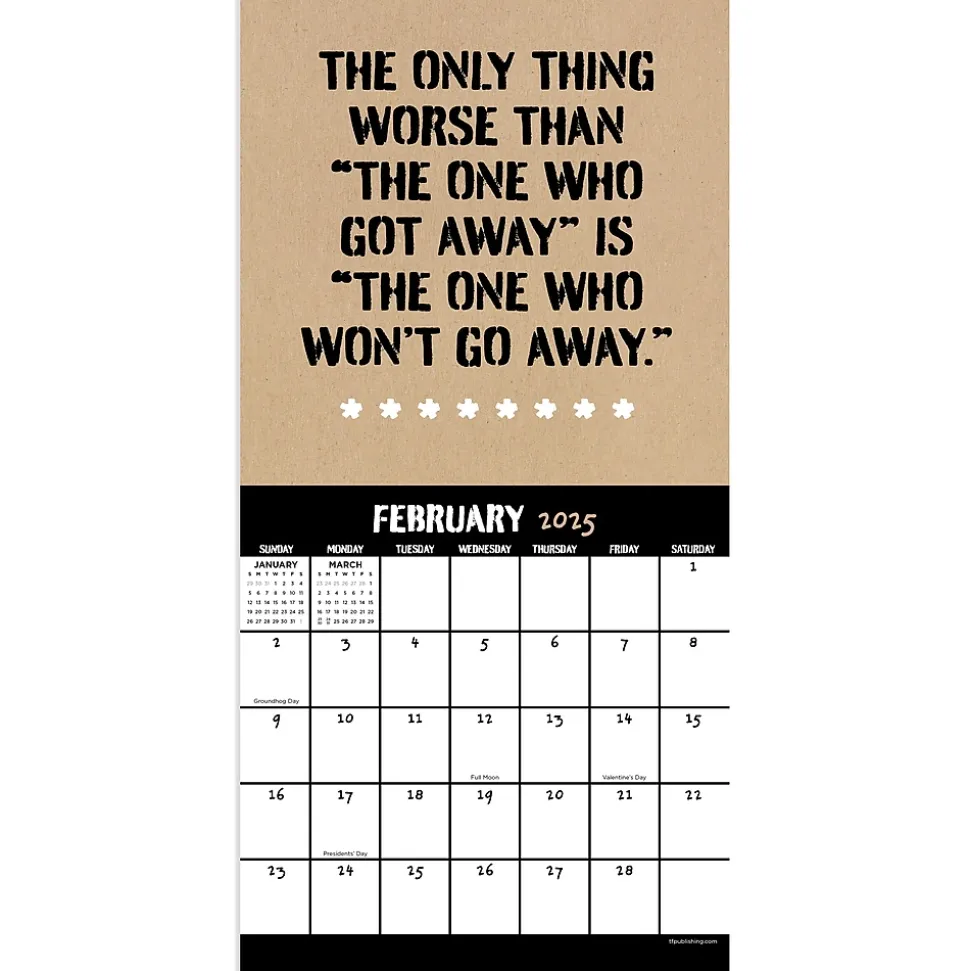 2025 TF Publishing Anti-Affirmations & Sarcasm 7" x 7" Monthly Wall Calendar (25-2100)