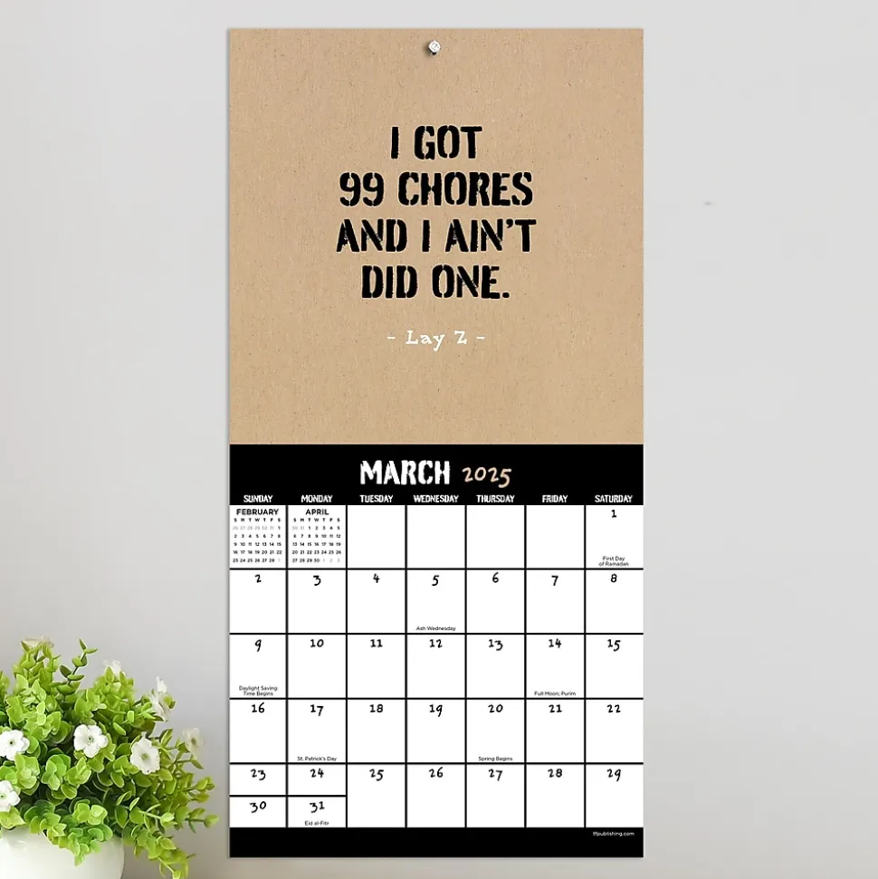 2025 TF Publishing Anti-Affirmations & Sarcasm 7" x 7" Monthly Wall Calendar (25-2100)