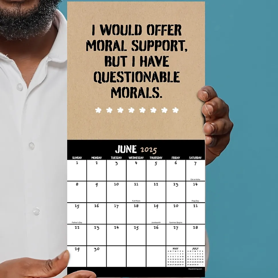 2025 TF Publishing Anti-Affirmations & Sarcasm 7" x 7" Monthly Wall Calendar (25-2100)