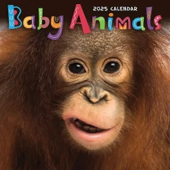 2025 TF Publishing Baby Animals 7" x 7" Monthly Wall Calendar (25-2000)