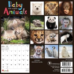 2025 TF Publishing Baby Animals 7" x 7" Monthly Wall Calendar (25-2000)