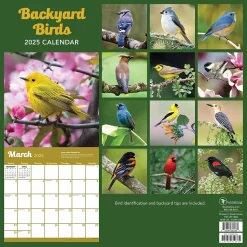 2025 TF Publishing Backyard Birds 12" x 12" Monthly Wall Calendar (25-1033)