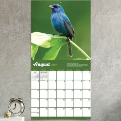 2025 TF Publishing Backyard Birds 12