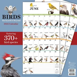 2025 TF Publishing Birds: Backyard and Beyond 12" x 12" Monthly Wall Calendar (25-1121)