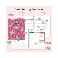 2024-2025 TF Publishing Cali Girl Collection Pretty Parrot 8.5