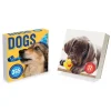2025 TF Publishing Dog A Day 5.25" x 5.25" Day-to-Day Calendar (25-3008)