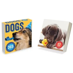 2025 TF Publishing Dog A Day 5.25" x 5.25" Day-to-Day Calendar (25-3008)