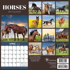 2025 TF Publishing Horses 7" x 7" Monthly Wall Calendar (25-2001)