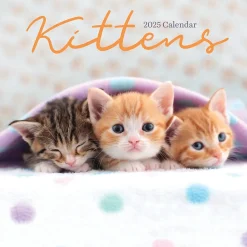 2025 TF Publishing Kittens 7" x 7" Monthly Wall Calendar (25-2002)