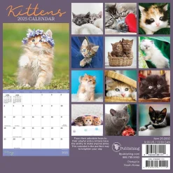 2025 TF Publishing Kittens 7" x 7" Monthly Wall Calendar (25-2002)