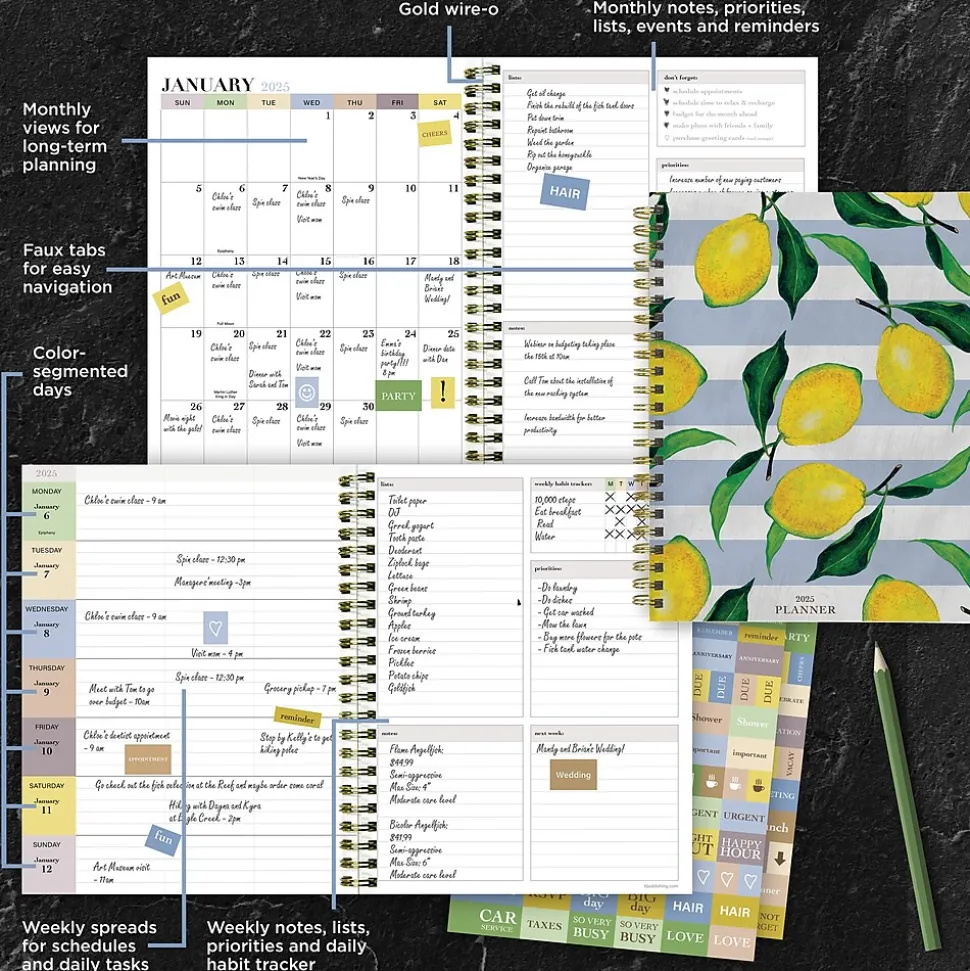 2025 TF Publishing Lemons of Capri 6.5" x 8" Weekly & Monthly Planner, Paperboard Cover, Multicolor (25-9208)