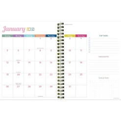 2025 TF Publishing Malibu Stripes 6.5" x 8" Weekly & Monthly Planner, Paperboard Cover, Multicolor (25-9216)