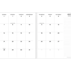 2024-2025 TF Publishing Paint Spatter 6.5" x 8" Academic Monthly Planner, Paperboard Cover, Multicolor (AY25-4210)