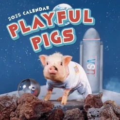 2025 TF Publishing Playful Pigs 12" x 12" Monthly Wall Calendar (25-1023)