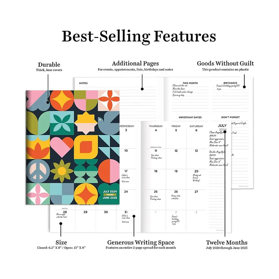 2024-2025 TF Publishing Scandinavian Symbols 6.5" x 8" Academic Monthly Planner, Paperboard Cover, Multicolor (AY25-4212)