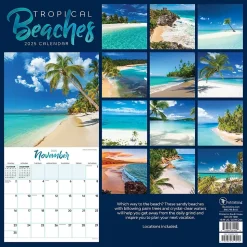 2025 TF Publishing Tropical Beaches 12" x 12" Monthly Wall Calendar (25-1030)