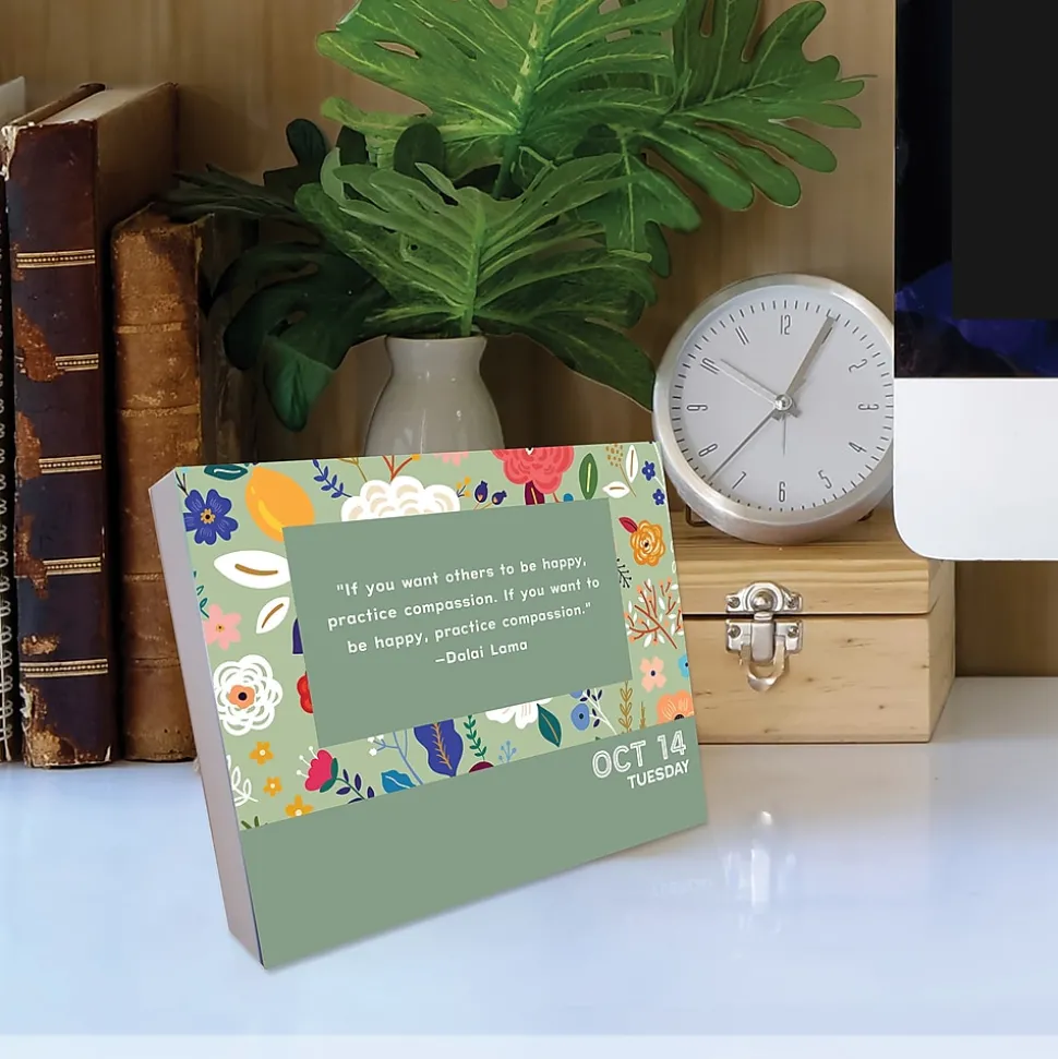 2025 Willow Creek 365 Days of Positivity 6" x 5.5" Day-to-Day Calendar (40553)