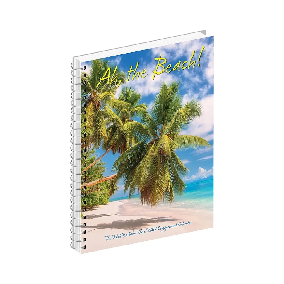 2025 Willow Creek Ah, the Beach! 6.5" x 8.5" Weekly Planner, Paper Cover, Multicolor (46050)