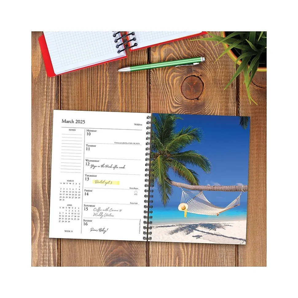 2025 Willow Creek Ah, the Beach! 6.5" x 8.5" Weekly Planner, Paper Cover, Multicolor (46050)