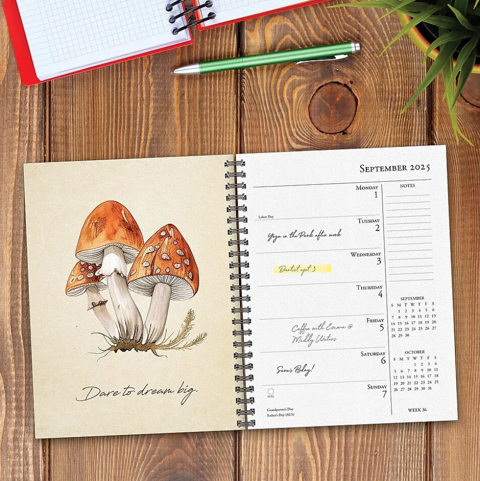 2025 Willow Creek Art of the Mushroom 6.5" x 8.5" Weekly & Monthly Planner (47231)