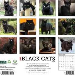 2025 Willow Creek Black Cats 12" x 12" Monthly Wall Calendar (41833)