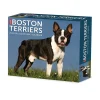 2025 Willow Creek Boston Terriers 6" x 5.5" Day-to-Day Calendar (40683)