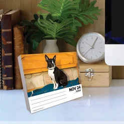 2025 Willow Creek Boston Terriers 6