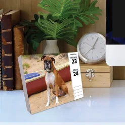 2025 Willow Creek Boxers 6