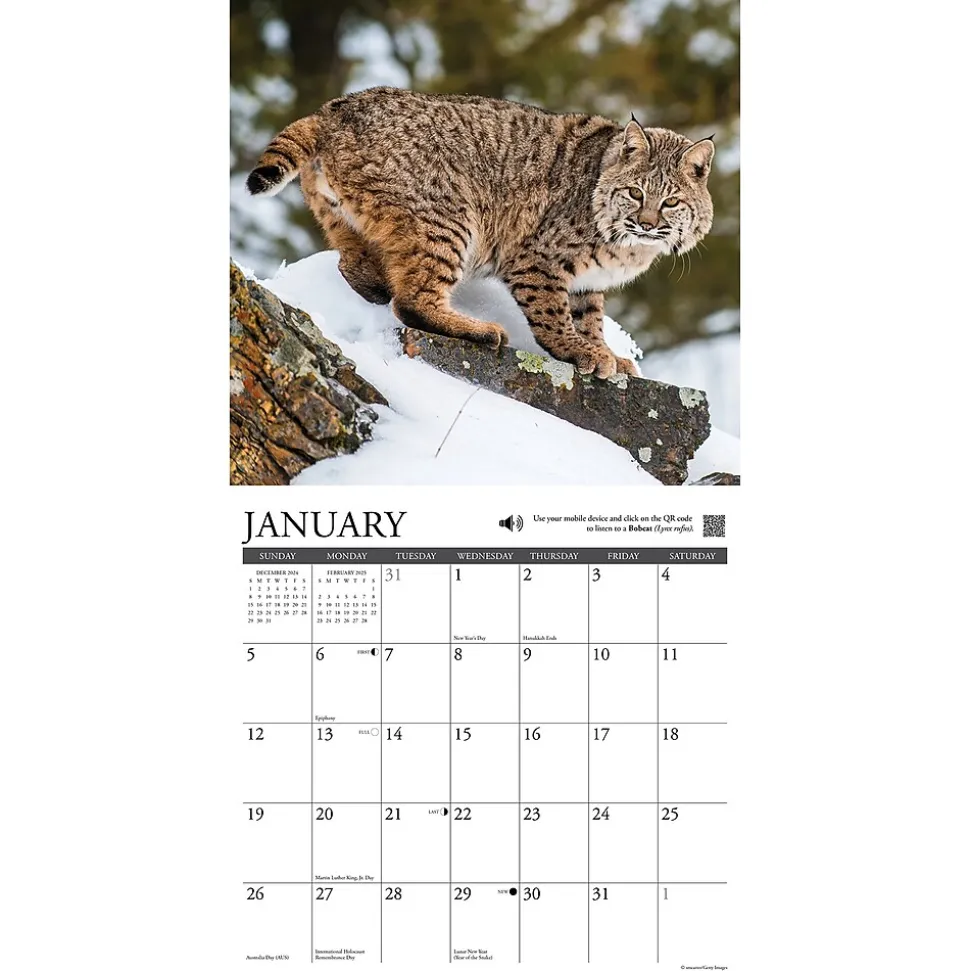 2025 Willow Creek Call of the Wild 12" x 12" Monthly Wall Calendar (42113)