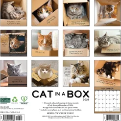 2025 Willow Creek Cat in a Box 12" x 12" Monthly Wall Calendar (42182)