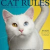 2025 Willow Creek Cat Rules 12" x 12" Monthly Wall Calendar (42199)