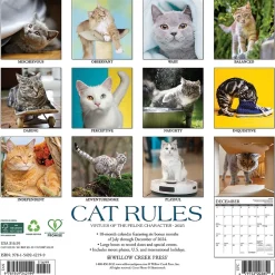 2025 Willow Creek Cat Rules 12" x 12" Monthly Wall Calendar (42199)