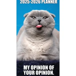 2025 Willow Creek Cat-astrophe 3.5" x 6.5" Monthly Planner Cover, Multicolored (46906)