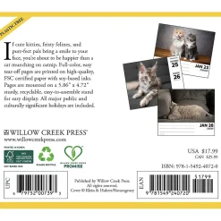 2025 Willow Creek Cats 6" x 5.5" Day-to-Day Calendar, Multicolor (40720)