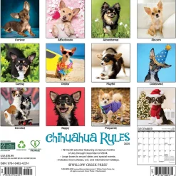 2025 Willow Creek Chihuahua Rules 12" x 12" Monthly Wall Calendar (42311)