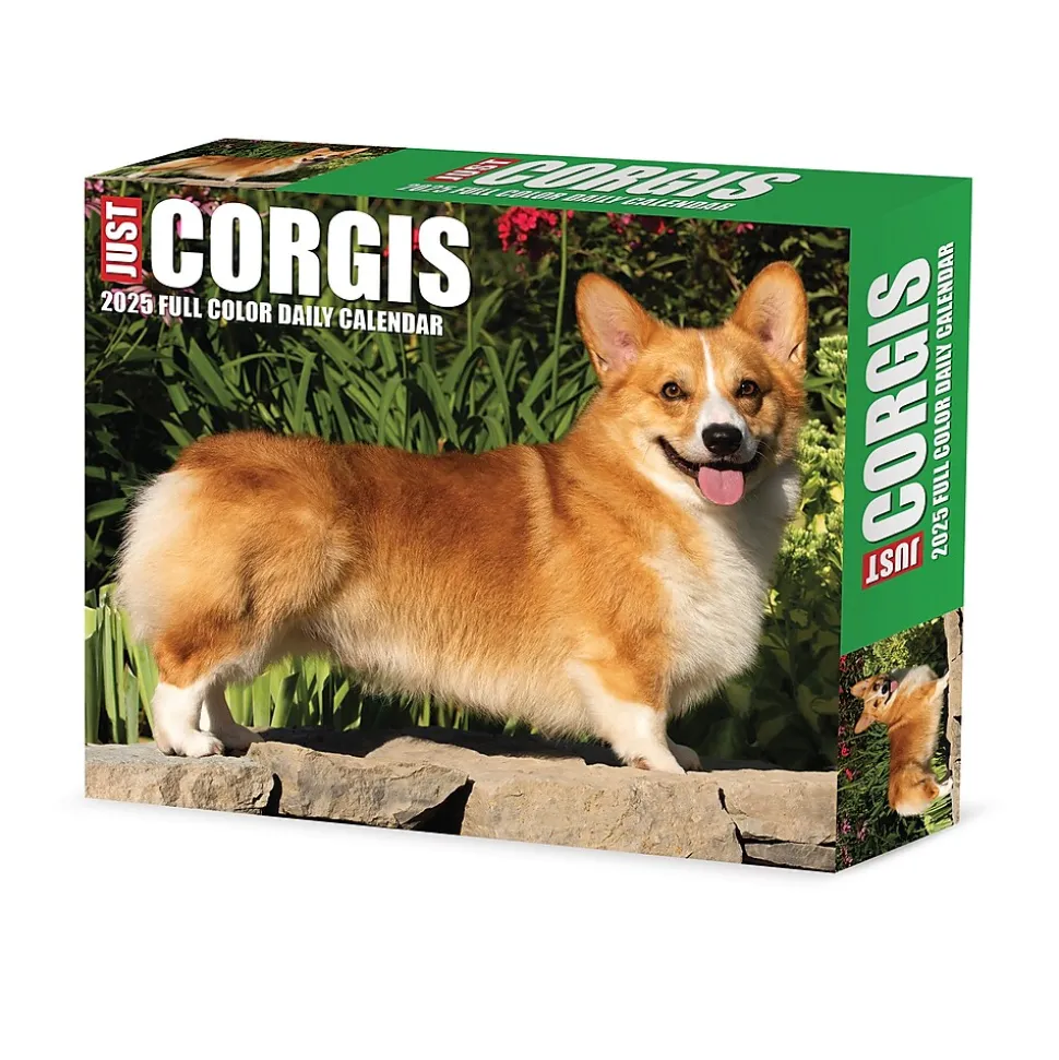 2025 Willow Creek Corgis (Dogs and Puppies) 6" x 5.5" Day-to-Day Calendar, Multicolor (40751)