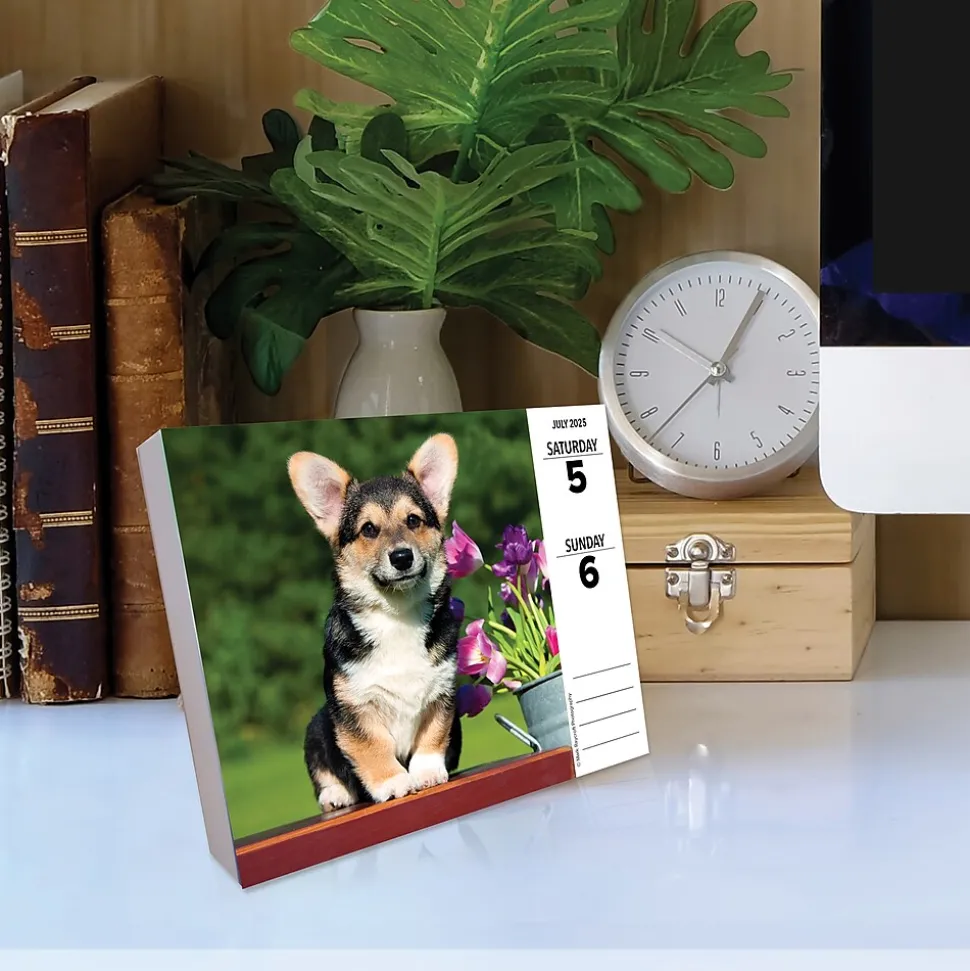 2025 Willow Creek Corgis (Dogs and Puppies) 6" x 5.5" Day-to-Day Calendar, Multicolor (40751)