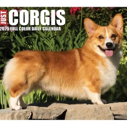 2025 Willow Creek Corgis (Dogs and Puppies) 6