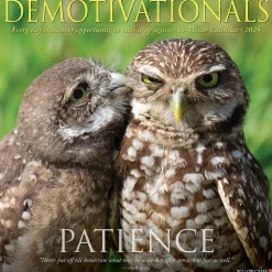 2025 Willow Creek Demotivationals 12" x 12" Monthly Wall Calendar (42694)