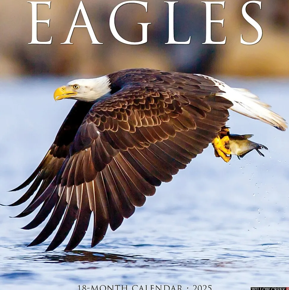 2025 Willow Creek Eagles 12" x 12" Monthly Wall Calendar (42786)