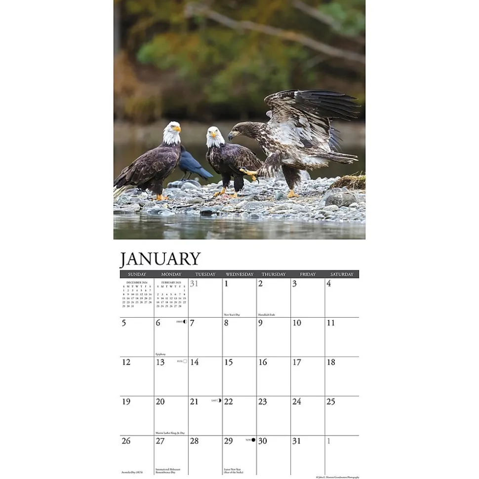 2025 Willow Creek Eagles 12" x 12" Monthly Wall Calendar (42786)