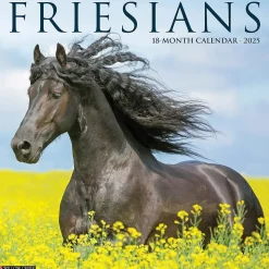 2025 Willow Creek Friesians 12" x 12" Monthly Wall Calendar (42960)