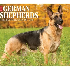 2025 Willow Creek German Shepherds 6