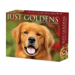 2025 Willow Creek Goldens 6" x 5.5" Day-to-Day Calendar (40867)