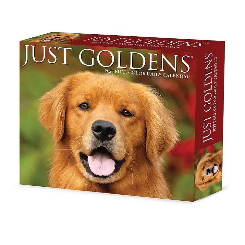 2025 Willow Creek Goldens 6" x 5.5" Day-to-Day Calendar (40867)