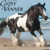 2025 Willow Creek Gypsy Vanner Horse 12" x 12" Monthly Wall Calendar (43264)