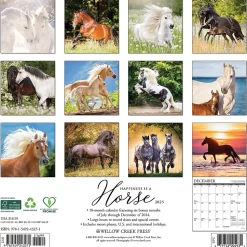 2025 Willow Creek Happiness is a Horse 12" x 12" Monthly Wall Calendar (43271)