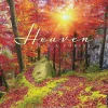 2025 Willow Creek Heaven Has a Forest 12" x 12" Monthly Wall Calendar (43325)