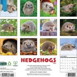 2025 Willow Creek Hedgehogs 12" x 12" Monthly Wall Calendar (43332)