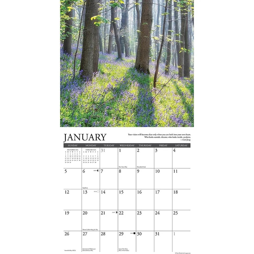 2025 Willow Creek Inspirations 12" x 12" Monthly Wall Calendar (43493)